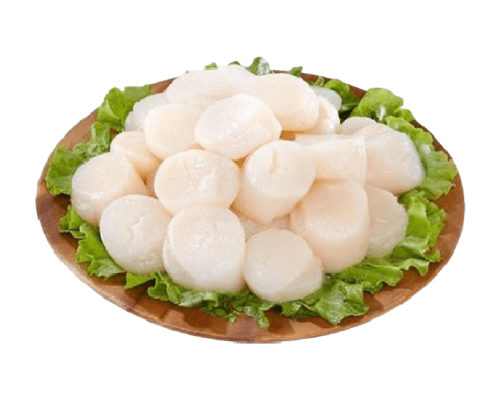 Cồi sò điệp (40-60 con/kg)