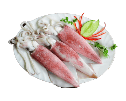 Mực ống tươi(size 3-6 con/kg) – món ăn đậm đà cả nhà cùng mê