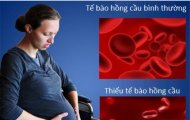 Thực phẩm nào bổ sung máu và sắt cho bà bầu
