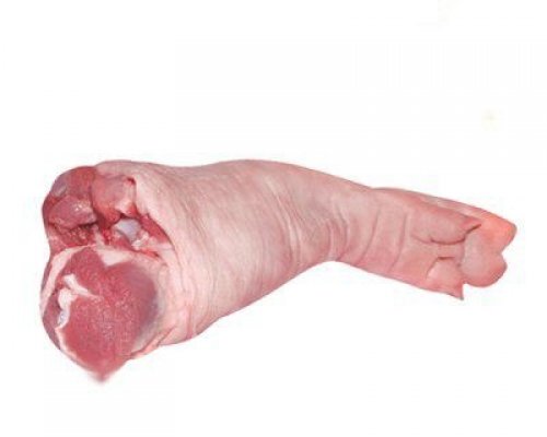 Chân sau nguyên Campbell