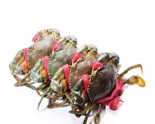 Của Thịt không dây ( 500g-800g/con )