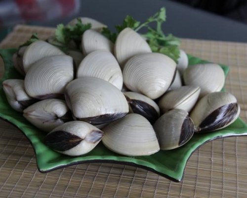 Nghêu tươi nguyên con