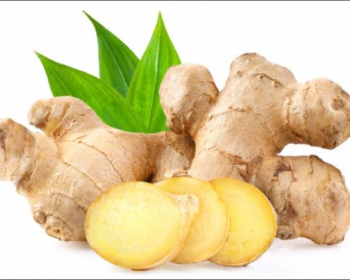 Gừng Tươi